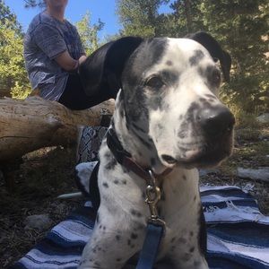 Meet your Posher, Andrew